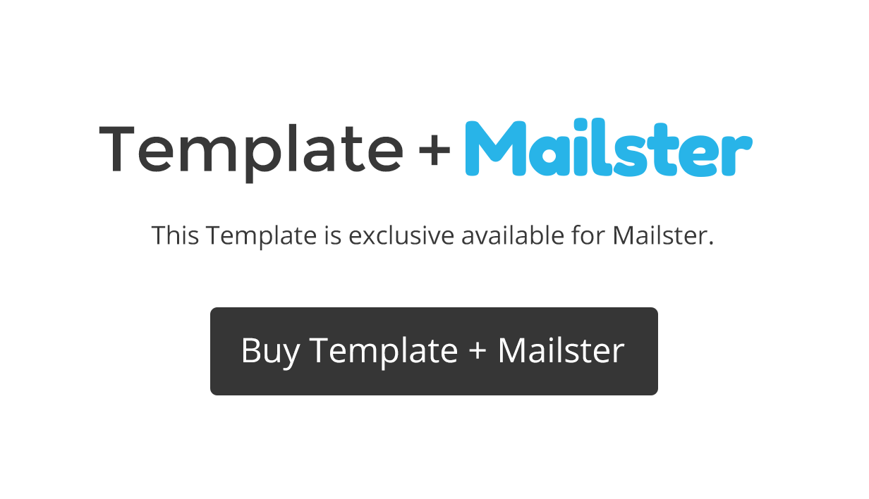 LetterPress - Email Template for Mailster - 11