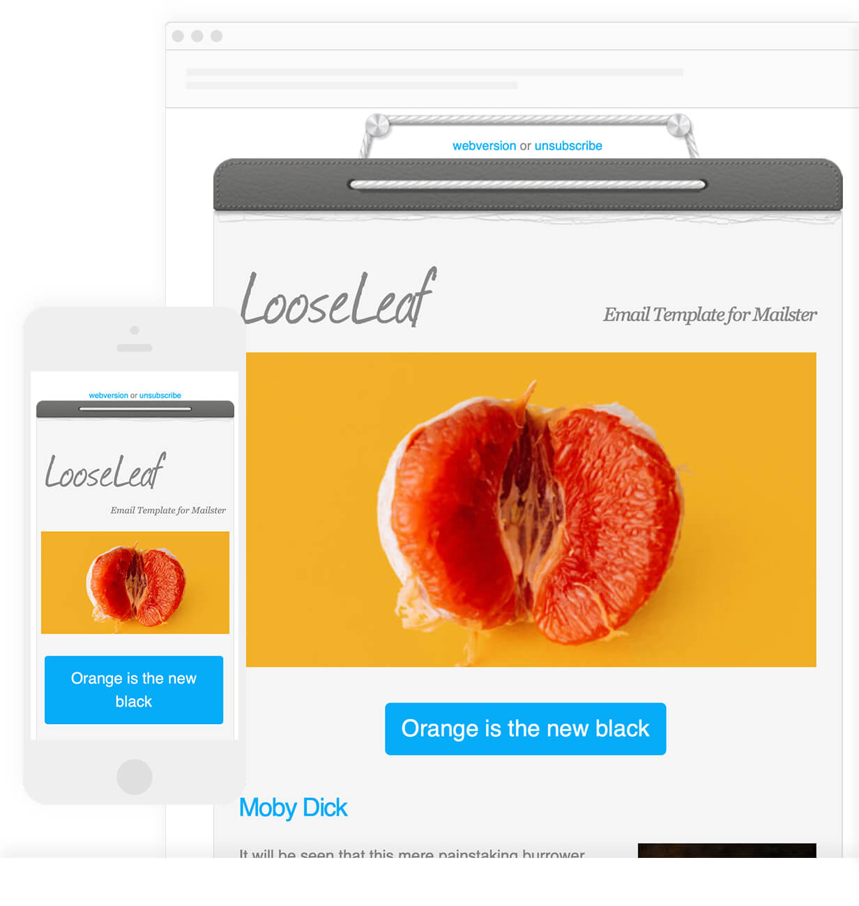 LooseLeaf - Email Template for Mailster - 7